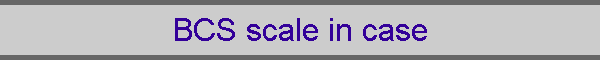 BCS scale in case