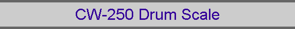 CW-250 Drum Scale