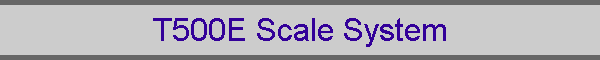 T500E Scale System